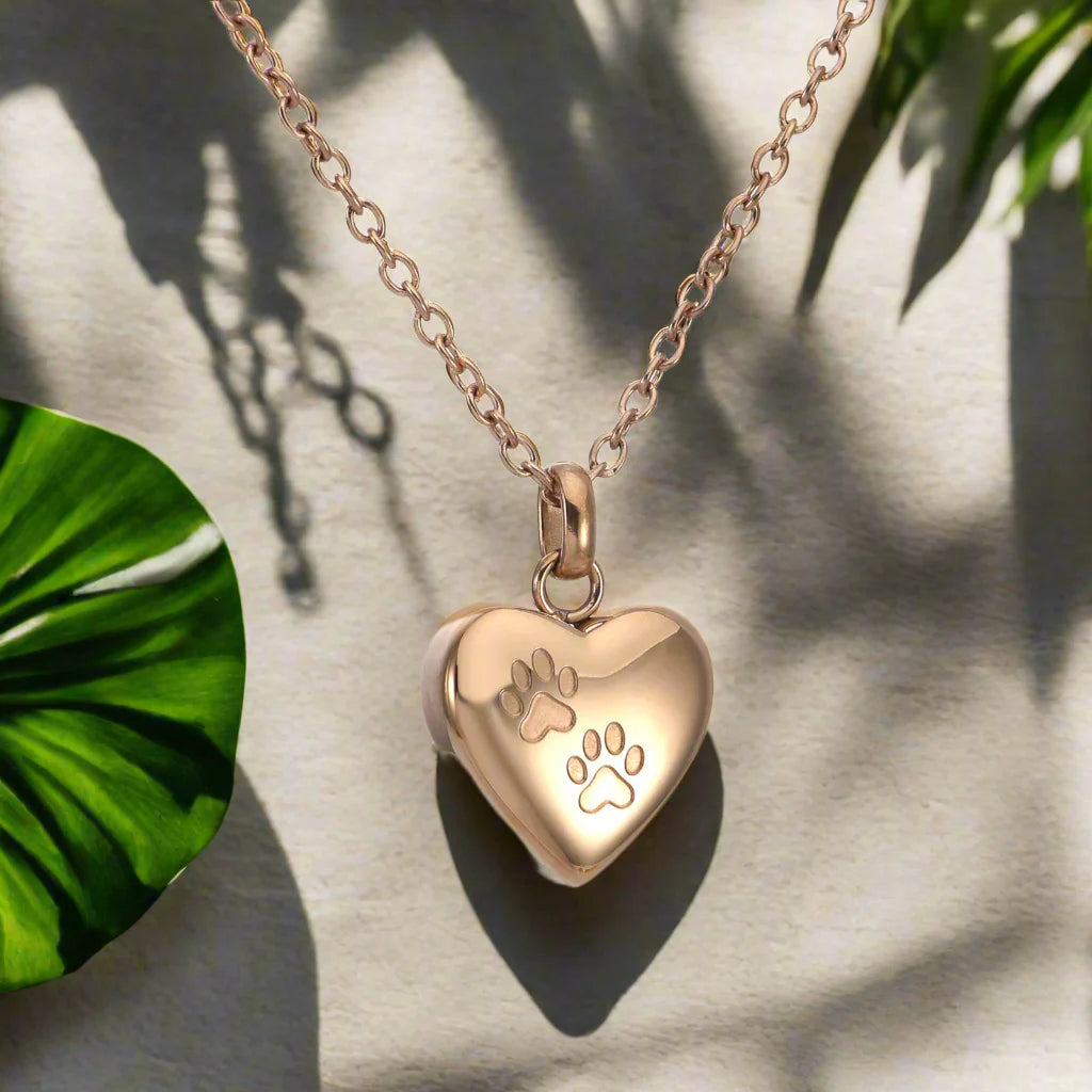 Heart Urn Necklace for Ashes – Pet Memorial Jewelry with Paw Print